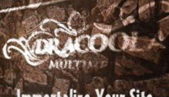 Dracoola Hosting