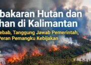 Kebakaran Hutan dan Lahan di Kalimantan, Siapa Bertanggungjawab ?
