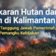 Kebakaran Hutan dan Lahan di Kalimantan, Siapa Bertanggungjawab ?