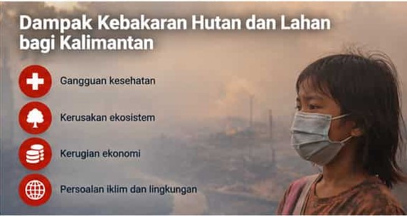 kebakaran hutan dan lahan di Kalimantan